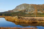 Der Herbst scheint in Norwegen sehr vielversprechend zu sein.