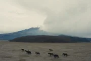 Im gleichnamigen Nationalpark Ecuadors liegt der Eisvulkan Cotopaxi, einer der höchstgelegenen aktiven Vulkane der Erde.