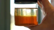 Wer Honig mit Zuckersirup streckt, betrügt nicht nur Kunden, sondern begeht eine Straftat