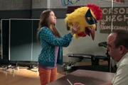 Sue (Eden Sher, l.) will Mr. Farrar (Christopher Darga, r.) davon überzeugen, dass sie die Richtige ist, um das Maskottchen des Footballteams zu repräsentieren. In der Zwischenzeit wollen Frankie und Mike mithilfe eines Hasen Brick Sozialkompetenz zu beibringen; mit ungeahnten Folgen ...