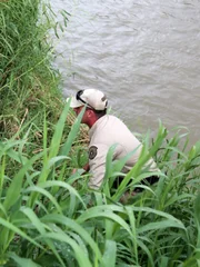 Warden Kegan Gould looking for evidence of mountain lion.