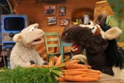 Pferd und Wolle überlegen, was sie kochen sollen.