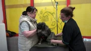 Pamela mit ihrer Hündin Tutschi im Hundesalon