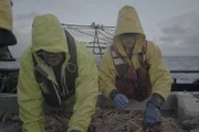 Wizard greenhorn, Caelan Colburn sorts crab with his uncle, Monte “Mouse” Colburn.
