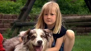 In der „Sendung mit dem Elefanten“ geht es um Hunde.
