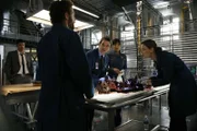 (v.l.n.r.) Booth (David Boreanaz); Dr. Hodgins (T.J. Thyne); Dr. Addy (Eric Millegan); Camille Saroyan (Tamara Taylor); Dr. Brennan (Emily Deschanel)
