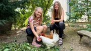 Ein Herz fÃ¼r HÃ¼hner 1