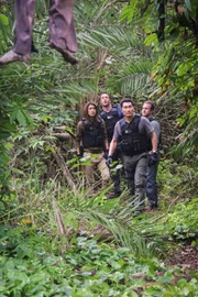 Pictured left to right: Grace Park as Kono Kalakaua, Alex O'Loughlin as Steve McGarrett, Daniel Dae Kim as Chin Ho Kelly and Scott Caan as Danny "Danno" Williams.