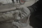 Ein neuer Fund von Tierknochen wird an der Ausgrabungsstätte des Kolosseums in Rom, Italien, gezeigt.