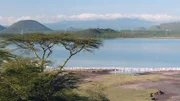 Flamingos im Elementaitasee (Kenia).