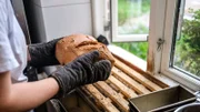 Brot aus der Backstube von Hof Klostersee