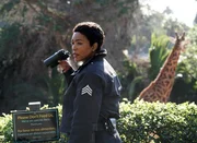 Während Hen mit den Folgen ihrer Nacht mit ihrer Ex-Freundin zu kämpfen hat, wagt auch Athena (Angela Bassett) einen großen Schritt ...