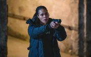 Special Agent Sheryll Barnes (Roxy Sternberg)
