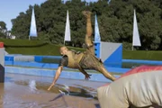 Bei "WipeOut - Mach dich nass!" messen sich in jeder Folge jeweils 24 Kandidaten in einem Hindernislauf der Extraklasse und nur einer hat die Chance, am Ende 50.000 Dollar zu gewinnen ...