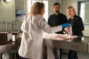 V.l.: Melinda Warner (Tamara Tunie), Nick Amaro (Danny Pino), Amanda Rollins (Kelli Giddish)