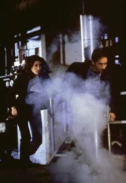 Diana Fowley (Mimi Rogers, l.); Fox Mulder (David Duchovny, r.)