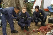 Clark (Eugene Byrd), Brennan (Emily Deschanel, M.), Cam (Tamara Taylor)