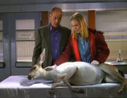 Garret (Miguel Ferrer) und seine Tochter Abby (Alex McKenna) können dem verletzten Reh nicht mehr helfen.