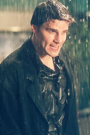 Angel (David Boreanaz)