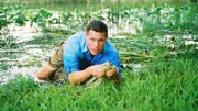 Ein Alligator gleitet durch den Sumpf und Reptilienexperte Jeff Corwin (spielt sich selbst) schnappt ihn.