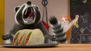 Gerade als sich Freddy an Mikes Taccos bedienen will, ist die süße Hauskatze Fluffy zur Stelle und legt dem Dieb das Handwerk.
