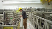 Am Greifswalder Max-Planck-Institut für Plasmaphysik forschen die Wissenschaftler an einer besonders ambitionierten Technik der Energiegewinnung.