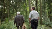 Noch immer prägen die Monokulturen der DDR die ostdeutsche Waldlandschaft. In Zeiten des Klimawandels kämpfen Förster und Naturschützer gleichermaßen dafür, den Wald für die Zukunft zu wappnen.