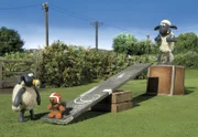 Der Lieblingsteddy von Timmy, dem Lämmchen hat heute einiges auszuhalten. Wie ihm wohl der Schleudertest bekommt, den Shaun mit ihm vornimmt?