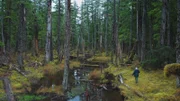 Gary Muhelberger begins his trek through the forest near Port Protection to hunt for deer.