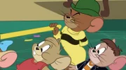 Muscles Mouse (m.)