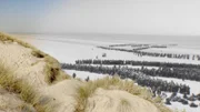 Soldaten stellen sich am Strand von Dünkirchen auf und warten darauf, an Bord der Schiffe zu gehen.
