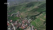 Der Kaiserstuhl mit seinen Löß-Terrassen.