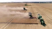 Die Sommergerste muss wegen der großen Trockenheit schon zwei Wochen früher geerntet werden als sonst. Weitere Fotos erhalten Sie auf Anfrage.