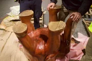 The bottom of the elephant table.