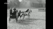 Lüneburger Heide anno 1954: Kutschengespann auf dem Landgestüt Celle.