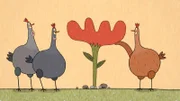 Die drei Hennen haben im Garten eine prächtige, rote Blume entdeckt, deren Hahnenkamm ebenso prachtvoll erscheint, wie der ihres Hahnes.