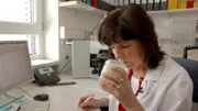 Im Celler Institut für Bienenkunde wird Honig auf seine Inhaltsstoffe überprüft.