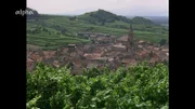 Der Kaiserstuhl - Ausblick.