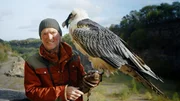 Andreas Kieling steht mit einem Bartgeier in einem Steinbruch in der Eifel. Als Chronist der Zeit schaut er, wie Artenschutzprojekte funktionieren.