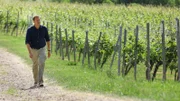 Weinberge in Bad Bergzabern: Jens Hübschen entdeckt bei seiner Expedition abseits der Touristenströme kleine Paradiese voller Stille, Wärme und Schönheit.