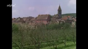 Der Kaiserstuhl 1970: Burkheim.