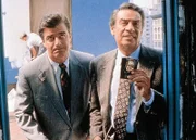 Detective Lennie Briscoe, Detective Mike Logan