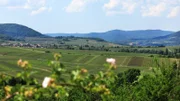 Südliche Weinstraße: Zwischen Landau und Wissembourg entdeckt Jens Hübschen bei seiner Expedition abseits der Touristenströme kleine Paradiese voller Stille, Wärme und Schönheit.