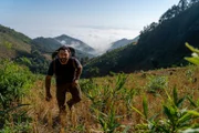 Hazen Audel walking up a hill with misty jungle mountains. (National Geographic/Adam Laister)