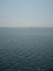 Frühlingsimpressionen in Wasserburg am Bodensee.
