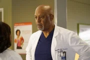 Während sich vor allem Richard (James Pickens Jr.) wegen der neuen Beraterin Dr. Eliza Minnick von Bailey übergangen fühlt, versucht sich April nach langer Zeit mal wieder in der Dating-Welt ...