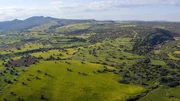 Auf Entdeckungsreise mit Karl Ploberger - Gartenparadiese auf Zypern - Die Insel der Aphrodite - Strahlender Sonnenschein, wolkenloser Himmel und kristallklares Meer - so präsentiert sich Zypern die meiste Zeit des Jahres. Die Insel im östlichen Mittelmeer ist aber nicht nur für Strandurlauberinnen und -urlauber ein begehrtes Ziel, sondern auch für Menschen, die Gärten und Natur lieben.  Auf seiner Entdeckungsreise ist Karl Ploberger den botanischen Besonderheiten auf der Spur. Rund 1800 Blütenpflanzen wachsen auf Zypern. Außerdem Oliven, Orangen, und Zitronen, die in vielen Privatgärten gepflanzt werden. Karl Ploberger besucht imposante Anwesen, beschauliche Privatgärten und den Botanischen Garten. Geschickte Gestaltungen lassen selbst unter den extremen Wetterbedingungen auf Zypern einzigartige Gartenparadiese entstehen.