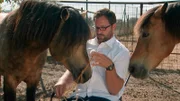 hr-fernsehen WIEDER FEST IM SATTEL (1), Die Geschichte eines PferdeflÃ¼sterers, Schicksale, Vierteilige Sendereihe, am Samstag (21.09.19) um 18:45 Uhr. Der â€žPferdeflÃ¼stererâ€œ Timo Ameruoso und seine Hengste Phil und Paolo.
