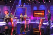 Moderator Florian Weber (rechts) testet im Wissensquiz "Meister des Alltags" die Praxistauglichkeit seiner prominenten Kandidaten (v. li.): Enie van de Meiklokjes, Bodo Bach, Alice Hoffmann, Christoph Sonntag.
