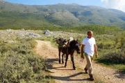 Im Bergland der Region Labëria, im Südwesten Albaniens, holt Sofokli Daupaj sein Brennholz.